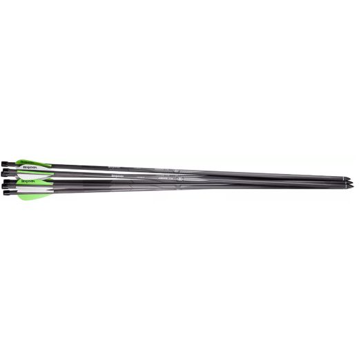 Airbow Arrows | 6pcs | Benjamin